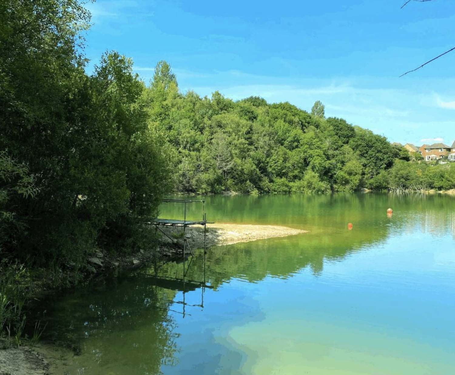 Digital Marketing &  Design Case Study Divers Cove Childsey